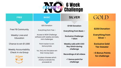 NoExcuses for Charity - 6 Week Challenge